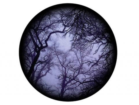 Rosco gobos standard glass